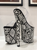Snake WhiteBlack